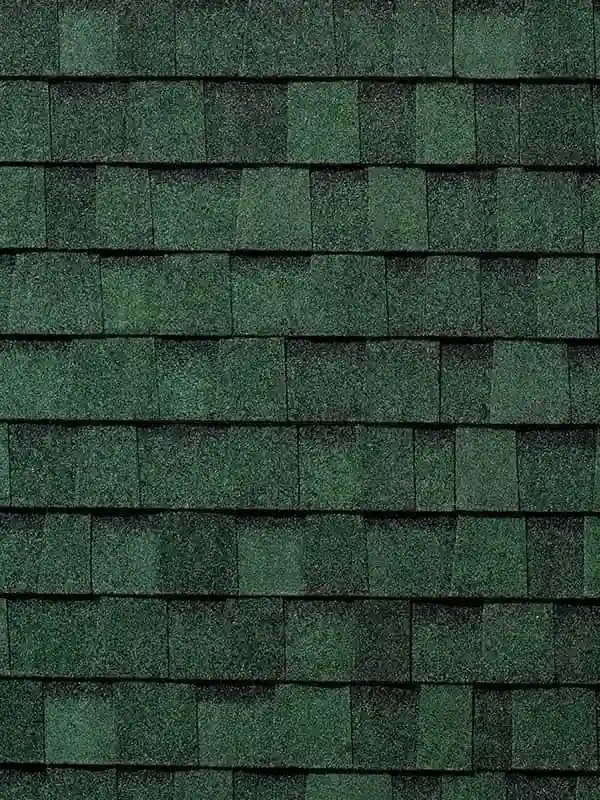rusticevergreen